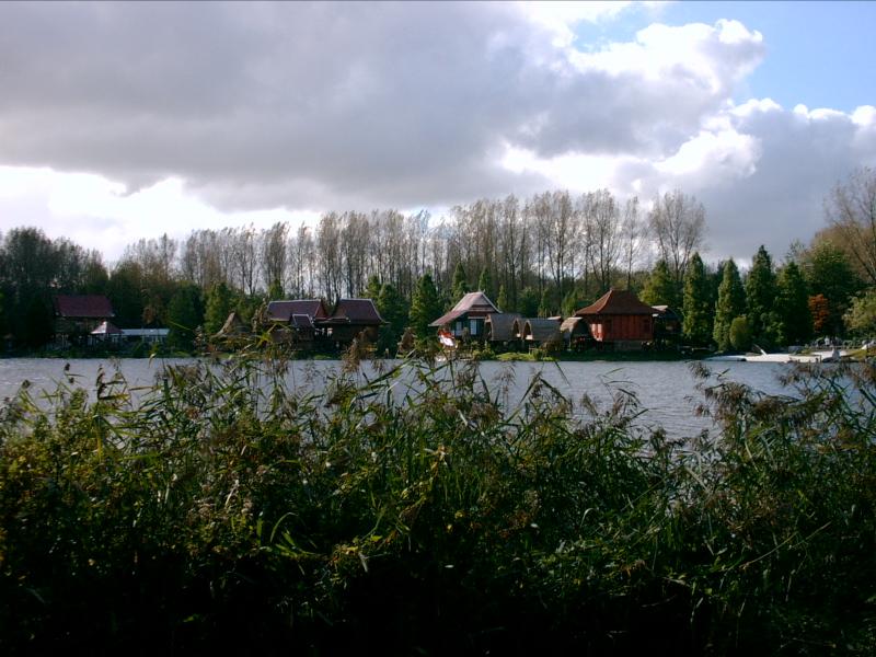 PICT0003.JPG