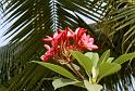 Thai2002_0153
