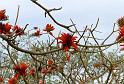 Thai2002_0158